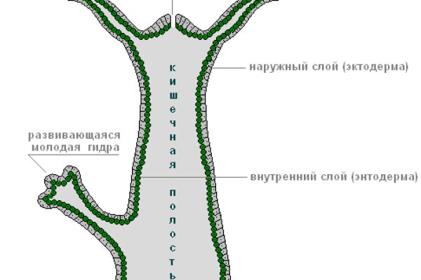 Сайт кракен закрыли