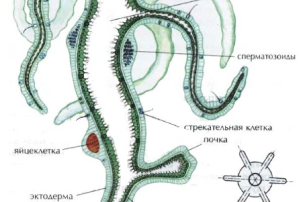 Кракен купить мефедрон