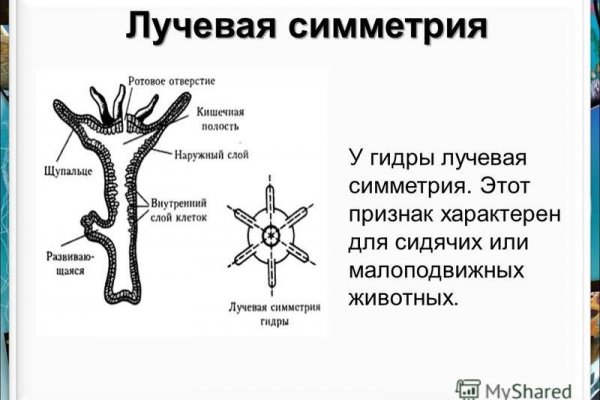 Кракен наркота что это